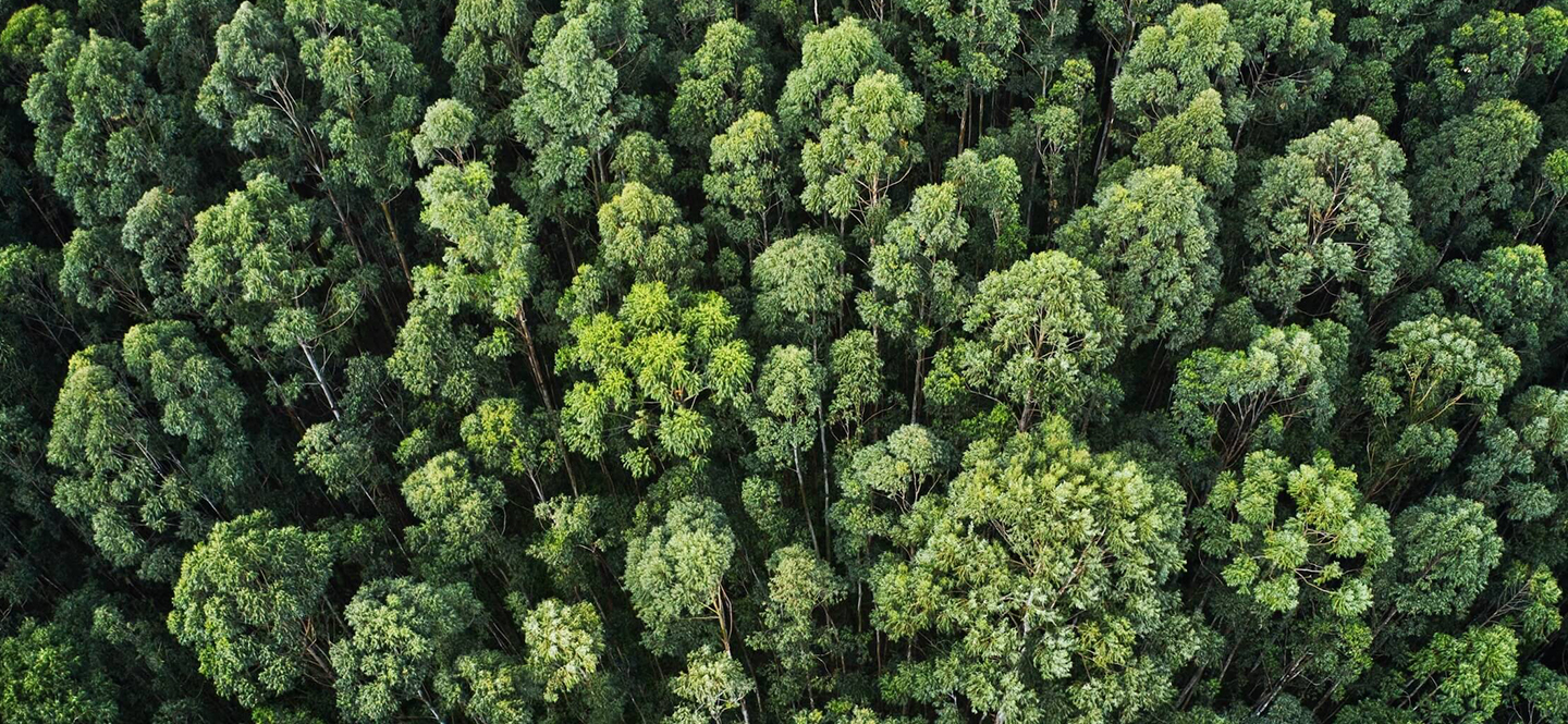 Sustentabilidade e impacto ambiental